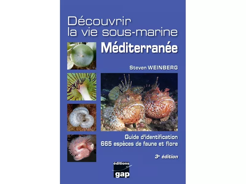 Découverte de la vie sous marine Méditerranée - 4ème édition