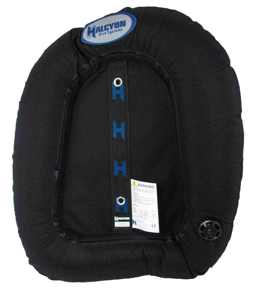 Wing Halcyon Evolve 40-lb, plaque carbone et harnais DIR