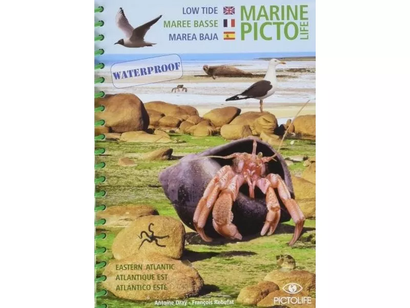 Pictolife - Marée Basse, Atlantique Est