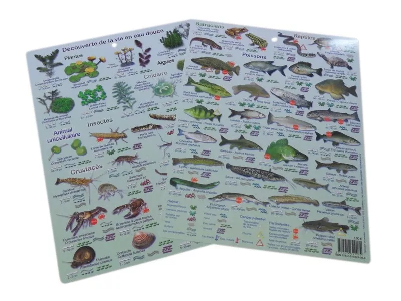 Plaquettes immergeables, Découverte de la vie en eau douce