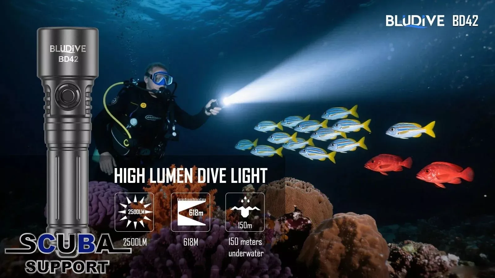 Lampe Bluedive BD42 PRO 2500LM