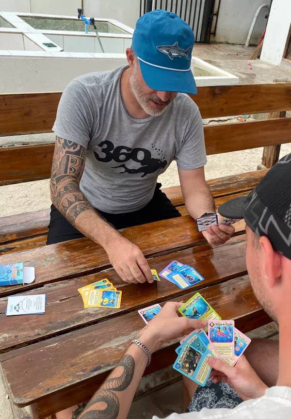 Jeu de cartes "la famille plonge"