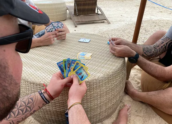 Jeu de cartes "la famille plonge"